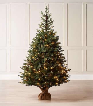 Sapin de Noël épicéa de Norvège
