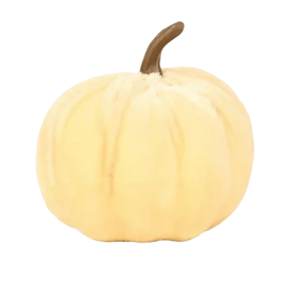 Citrouilles décoratives en velours — image 7